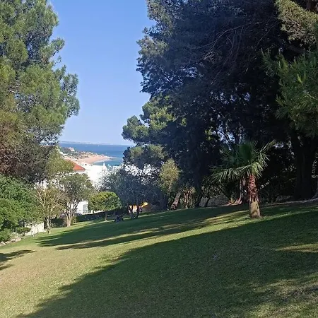 Garden Paradise, Old Town & Appartement *